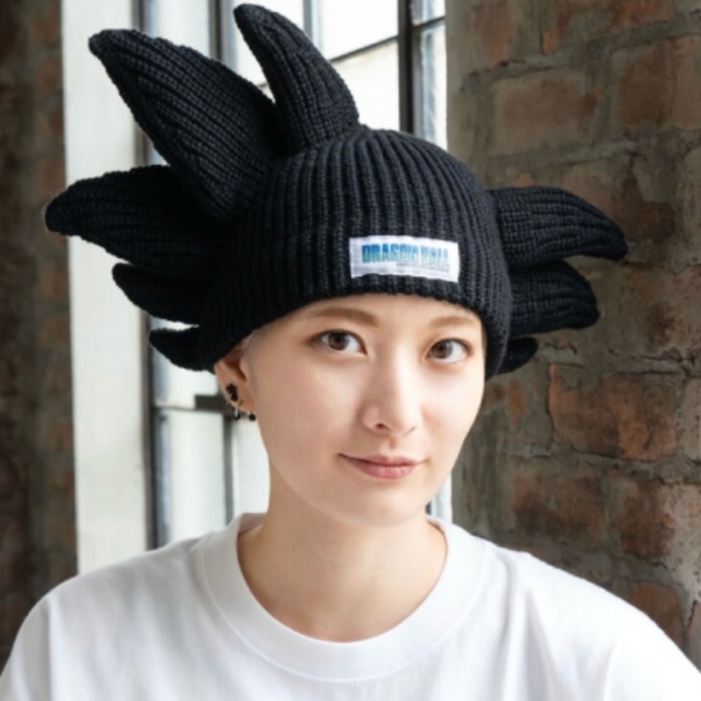 40th anniversary Dragon Ball - beanie